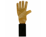 Metalni trofej Goalkeeper Glove_EliteSport