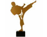 Metalni trofej Karate_EliteSport