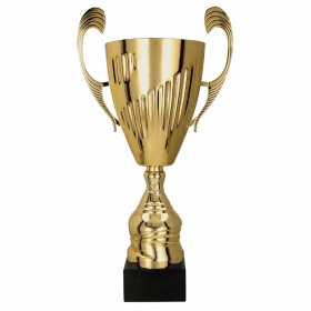 Metalni pehar Mida_EliteSport