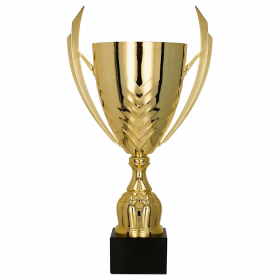 Metalni pehar Valor_EliteSport