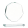 Stakleni trofej Prisma_EliteSport