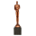 Lijevani trofej Champion_EliteSport