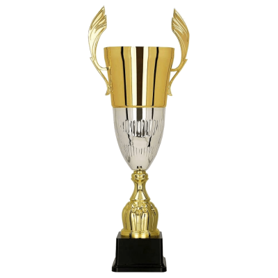 Zlatno-srebrni metalni pehar DIUNA_EliteSport
