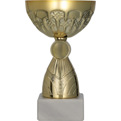 Metalni pehar Elion s amblemom_EliteSport