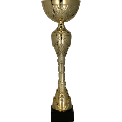 Metalni pehar Virelia_EliteSport