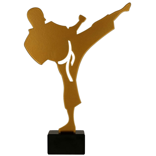 Metalni trofej Karate_EliteSport